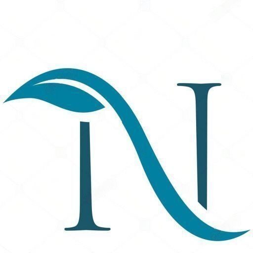NitWings